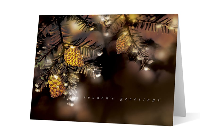 Pine Boughs corporate holiday greeting card thumbnail