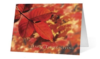 Ruby Autumn corporate holiday greeting card thumbnail
