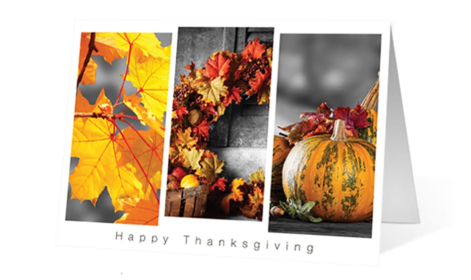 fall colors corporate holiday greeting card thumbnail