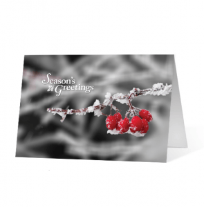 A Moment Of Winter Season's Greetings Card