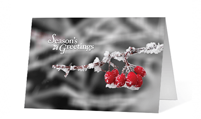A Moment Of Winter Holiday Greeting Card