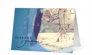 Moment Of Light Season's Greetings Card