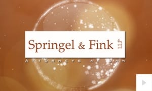 Springel & Fink llp Holiday e-card thumbnail