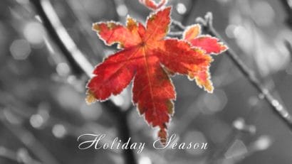 Colorize Christmas Season Greeting e-card