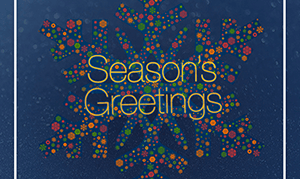 vivid greeting envelope custom holiday thumbnail cybersource
