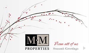 MM Properties (2017)