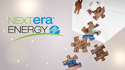 NextEra Energy (2017) corporate holiday ecard thumbnail