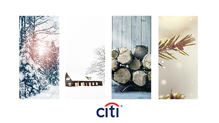 Citi Private Bank (2016) corporate holiday ecard thumbnail