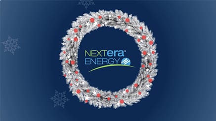 Nextera Energy (2016)