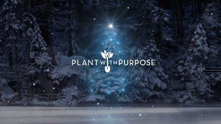 2022 Plant WIth Purpose Hidden Forest corporate holiday ecard thumbnail