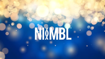 Niimbl 2020 corporate holiday ecard thumbnail