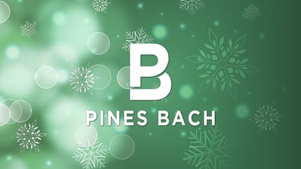 Pine Bach 2020 corporate holiday ecard thumbnail