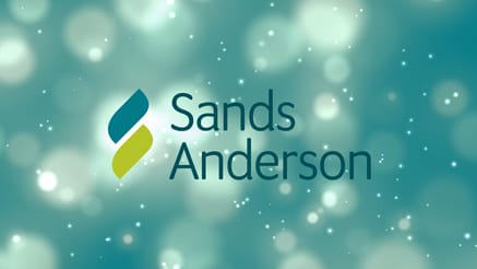 Sands Anderson 2020 corporate holiday ecard thumbnail