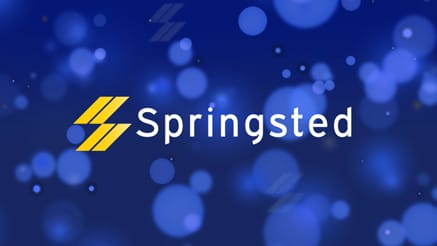 Springsted 2018 corporate holiday ecard thumbnail