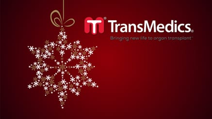 TransMedic 2016 corporate holiday ecard thumbnail